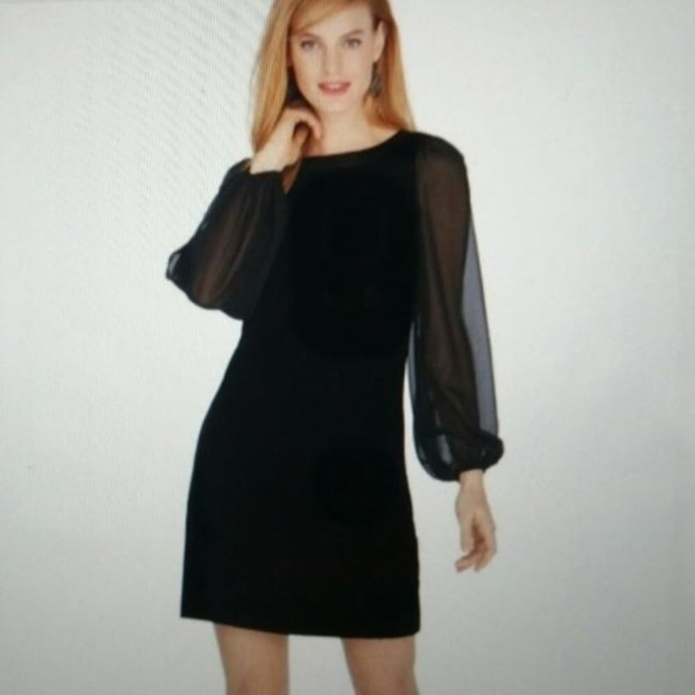 White House Black Market velvet dress chiffon sleeves